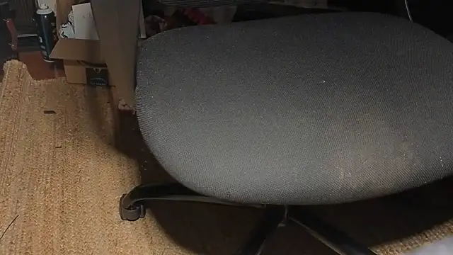 kayishard online show from 05/25/26, 08:02