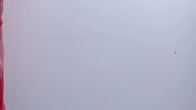 lovely  kiss   online show from 07/21/26, 06:20