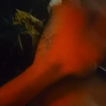 Snapshot of BlnAktivGay chatting on 03/15/26, 02:07 BlnAktivGay online show from 03/15/26, 02:07