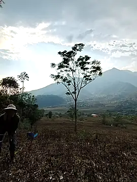 Jooj- online show from 03/22/26, 09:00