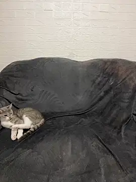 AlisRoxy online show from 02/28/26, 09:25