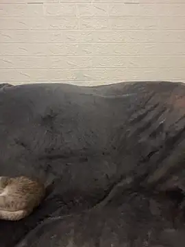 AlisRoxy online show from 03/15/26, 09:00