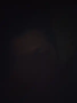 Pravin9562 online show from 03/04/26, 07:10