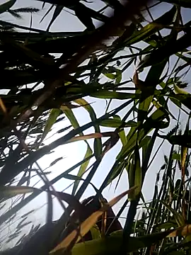 Juli rathore online show from 02/23/26, 05:09