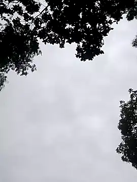 Juli rathore online show from 07/20/26, 01:57