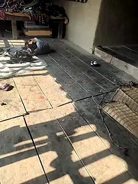 sujase online show from 01/16/26, 06:39