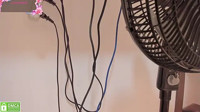 Zamahara Rodriguez online show from 03/08/26, 07:50