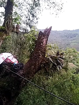 lia-coy online show from 04/19/26, 12:44