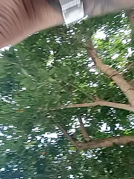 roxxy white online show from 02/07/26, 05:43