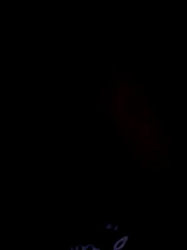 japosamel online show from 05/27/26, 10:39