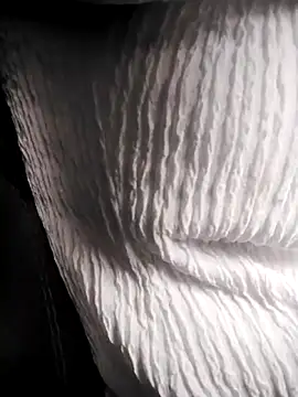 RosseLaure online show from 02/25/26, 07:58