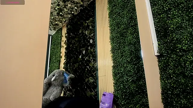 AmberAddamss online show from 02/22/26, 02:41