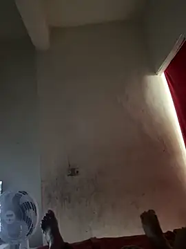 gabrielacachorra online show from 02/11/26, 10:59