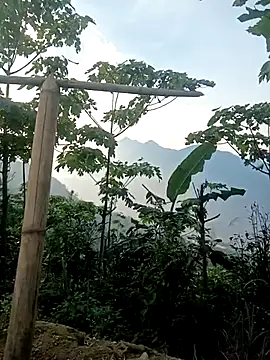 cutebobi online show from 03/30/26, 09:55