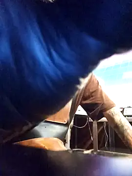 blackninja66 online show from 03/13/26, 02:27