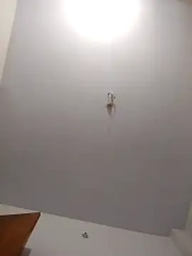 maisamim2 online show from 03/06/26, 03:01