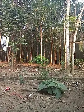 Nuna 689 online show from 03/31/26, 09:22