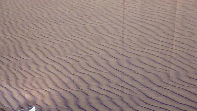 BusyB1983 online show from 03/20/26, 12:44