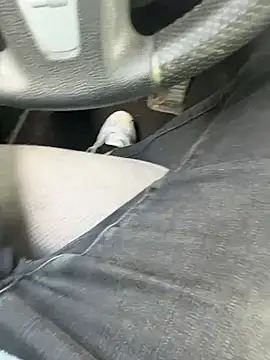 tony3729 online show from 04/19/26, 01:23