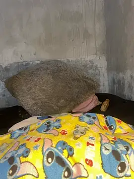 Iam AlexandraRey online show from 02/15/26, 07:51