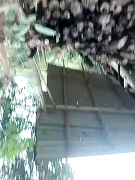 meomeo30 online show from 02/11/26, 08:36