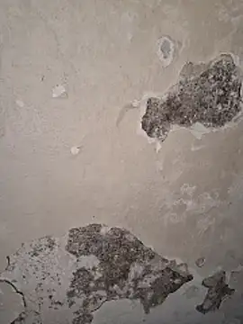 Ayush281999 online show from 03/30/26, 02:51