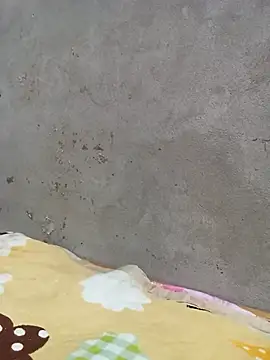 Kowew-nkie online show from 02/04/26, 12:44