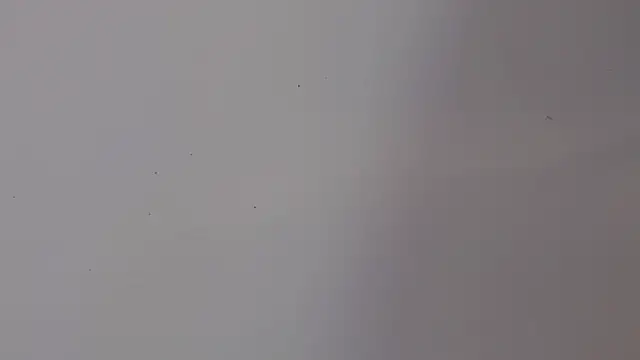 adara cute 69 online show from 02/05/26, 06:15