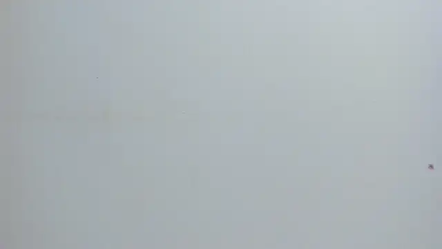 Melanie  Evans online show from 05/09/26, 10:51