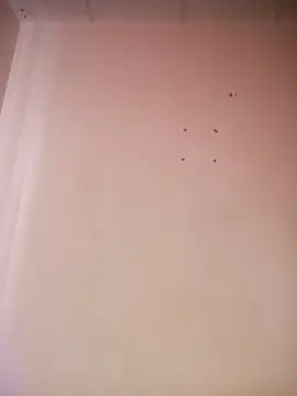  aish a online show from 03/19/26, 08:09