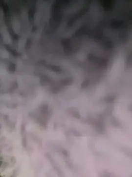 Puka2001 online show from 03/02/26, 06:14