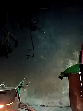 Hoa-tuylip online show from 03/04/26, 10:17