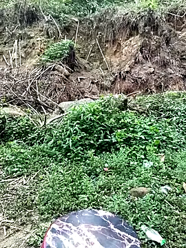 Hoa-tuylip online show from 04/21/26, 01:29