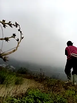 Hoa-tuylip online show from 02/24/26, 03:18