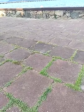 Gustavo52367 online show from 02/20/26, 07:27