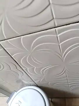 Gustavo52367 online show from 03/06/26, 01:50