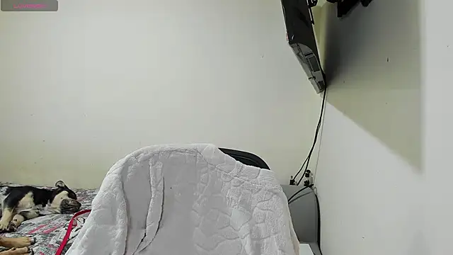 Vinaaly  online show from 05/07/26, 08:56
