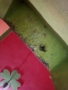 Riyakumari hot66 online show from 04/05/26, 04:02