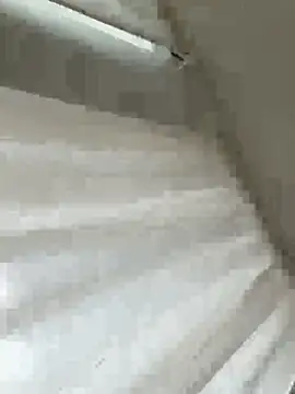 Snapshot of Sara0202 chatting on 02/18/26, 12:01 Sara0202 online show from 02/18/26, 12:01