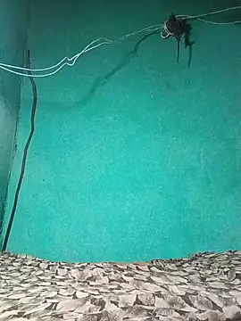 Babli sharma online show from 05/28/26, 12:22