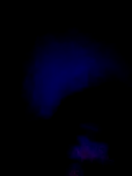 Snapshot of 061190 chatting on 02/28/26, 03:44 061190 online show from 02/28/26, 03:44