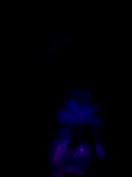 Snapshot of 061190 chatting on 02/25/26, 03:23 061190 online show from 02/25/26, 03:23