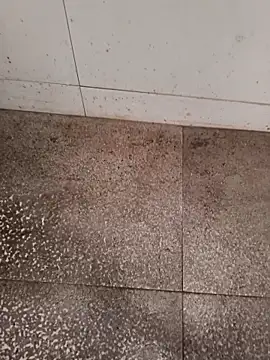 Snapshot of GTX-8194 chatting on 02/22/26, 06:27 GTX-8194 online show from 02/22/26, 06:27