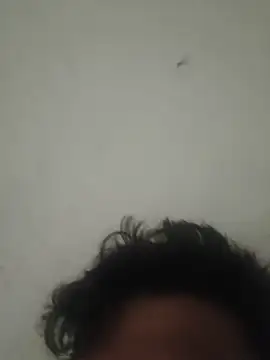 GTX-8194 online show from 03/27/26, 08:22