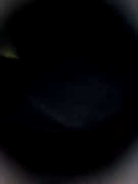 Snapshot of Bengal_Tiger420 chatting on 02/24/26, 10:32 Bengal Tiger420 online show from 02/24/26, 10:32