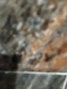 Bengal Tiger420 online show from 04/17/26, 06:33