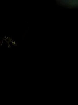 CattingSample online show from 04/15/26, 08:31