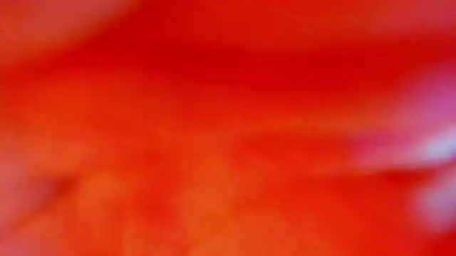 Katty Kiiss  online show from 05/05/26, 04:04