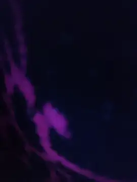 LustyDanky online show from 03/22/26, 05:25