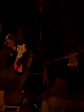 Dipti hote online show from 04/12/26, 02:53